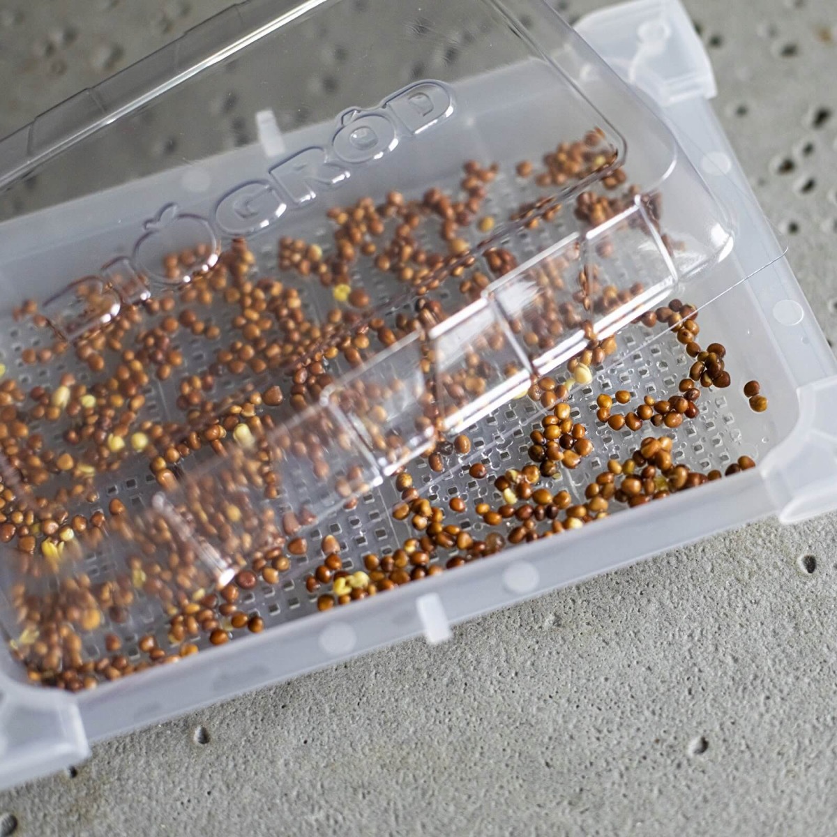 nakličovací nádoba na klíčení 18,5 x 12,5 cm megamix.shop